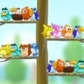 鸟类分色大师(Bird Sort - Color Puzzle)手游直装版