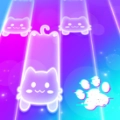 梦幻喵咪瓷砖