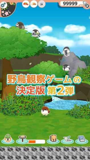 小鸟观察2游戏正版