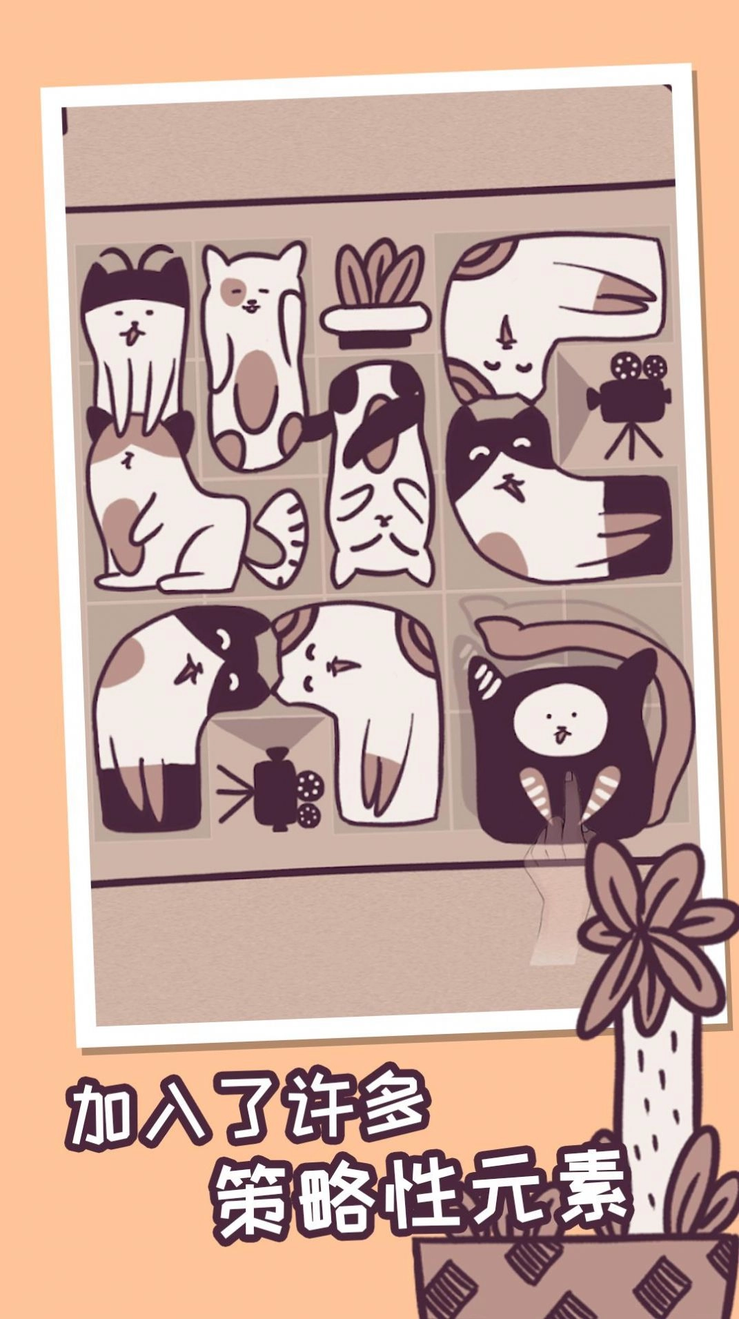 我的小猫贼好看游戏官方最新版