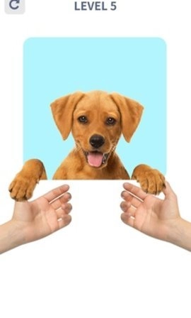 大脑谜题(Brain Puzzle: IQ Challenge)直装版