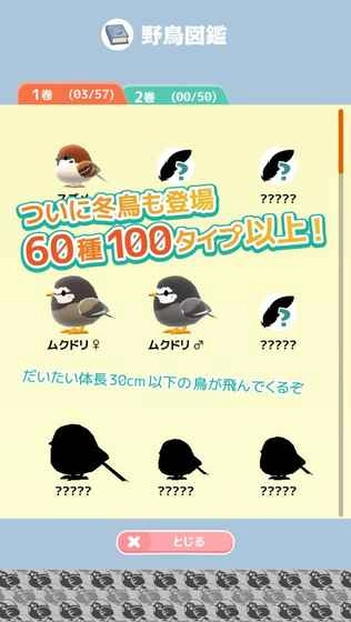 小鸟观察2游戏正版