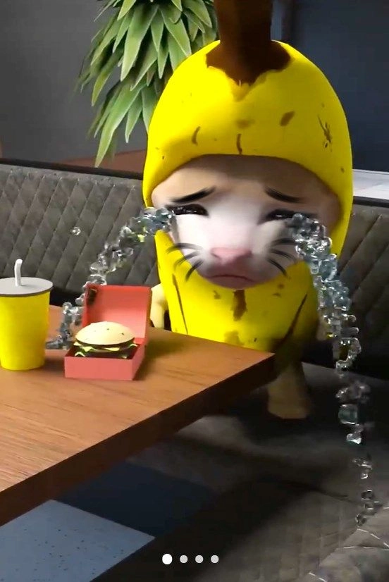 香蕉猫大作战安卓版