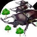 甲虫之间的战斗(AttackBeetle)手游版
