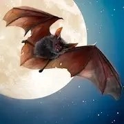 吸血蝙蝠模拟器3D(Wild Bat Simulator 3D)
