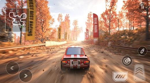 拉力赛车专业版(2)