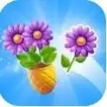 鲜花收纳手机正版