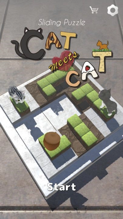 猫也想要爱情(1)