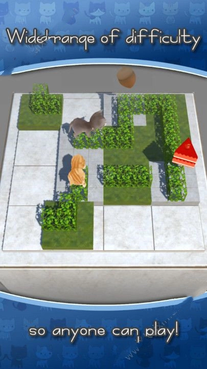 猫也想要爱情(2)