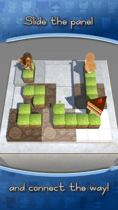 猫也想要爱情(3)