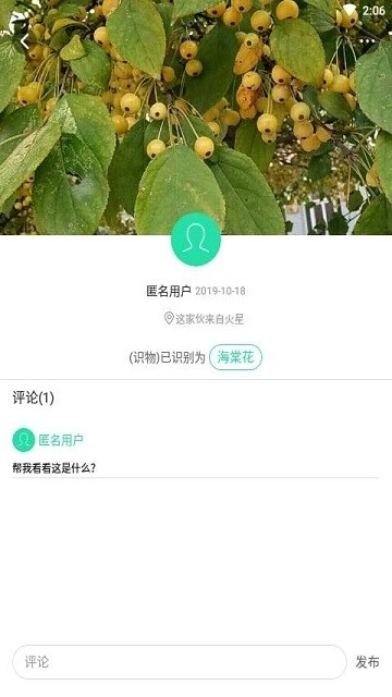 趣实物官方正版图3