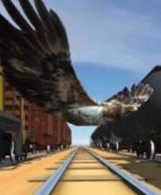 库库鸟隧道飞行最新版