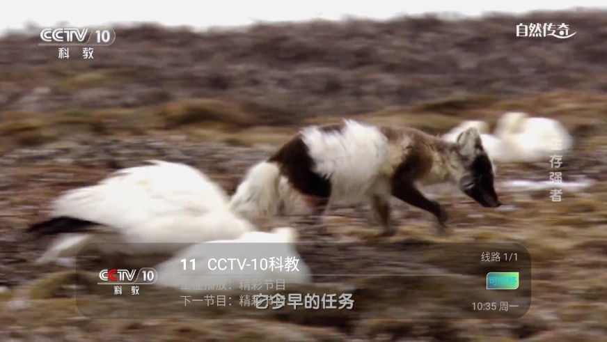 壹万TV免费版图3