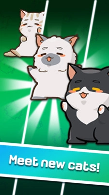 猫主子的日常正版(2)