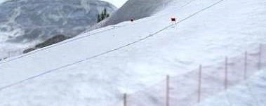 高山滑雪竞技场(Alpine Arena)手机正版图2