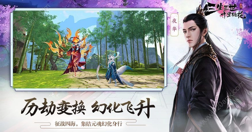 天姬变之青丘神狐