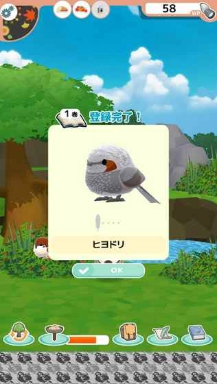 小鸟观察2游戏正版