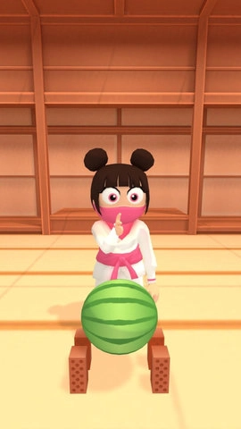 空手道破坏者通用版