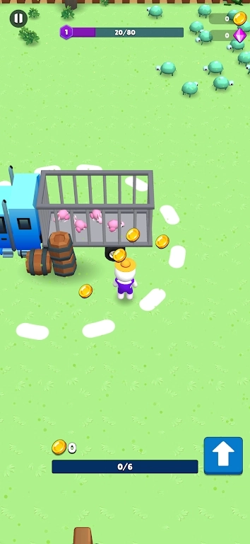 动物大混乱(Animal Mayhem)安卓直装版