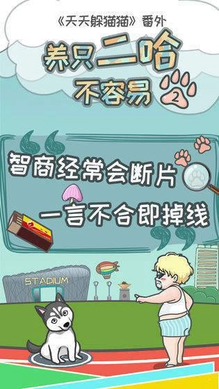 养只二哈不容易2安卓版