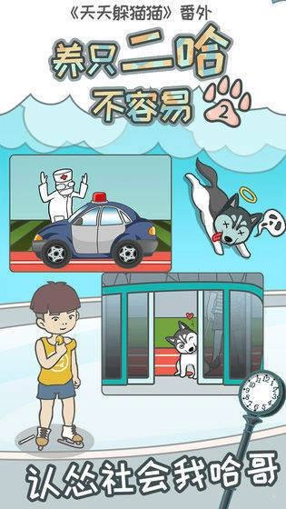 养只二哈不容易2安卓版