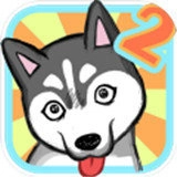 养只二哈不容易2安卓版