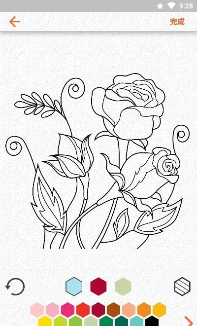 Colorfy单机版下载