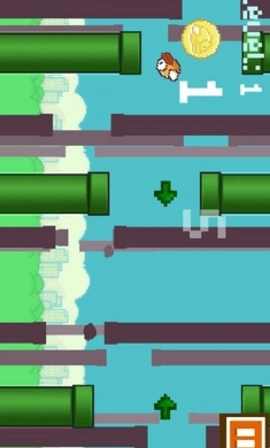 不一样的笨鸟手机正版(2)