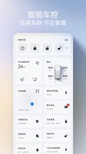 福特派