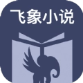 飞象小说