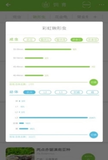 甲虫饲育者手机正版图2
