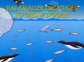 小金鱼进化史2正版图2