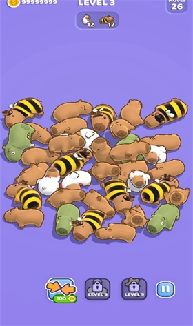 卡皮巴拉比赛(2)