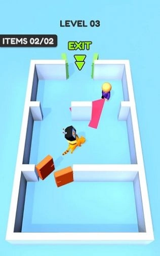 浣熊小偷(Raccoon Thief)(2)