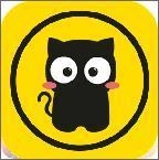 猫咪段子最新版
