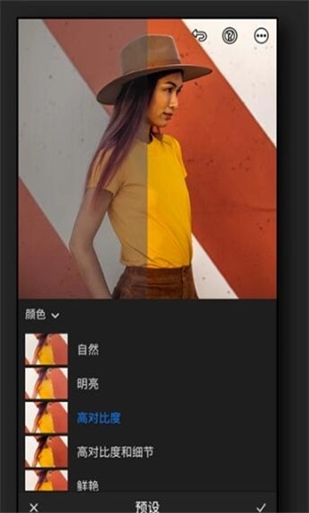 Preset高级版图3