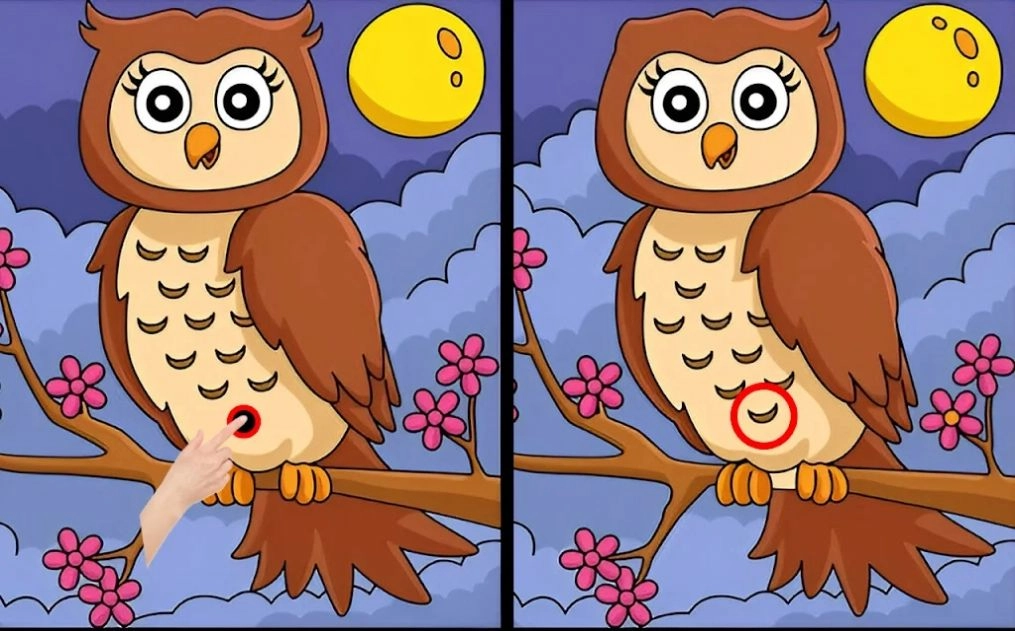 差异寻找并发现(Differences find and spot them)免费原版(3)