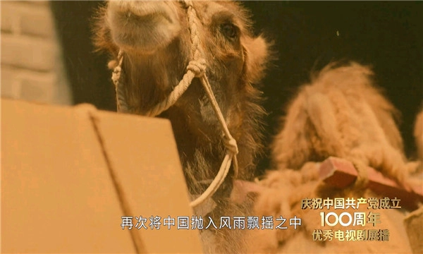 西门影视TV版图4
