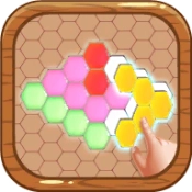 六边形方块木头拼图(Block Heax Wooden Puzzle)通用版