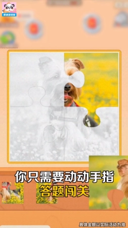 拼拼超人直装版(2)