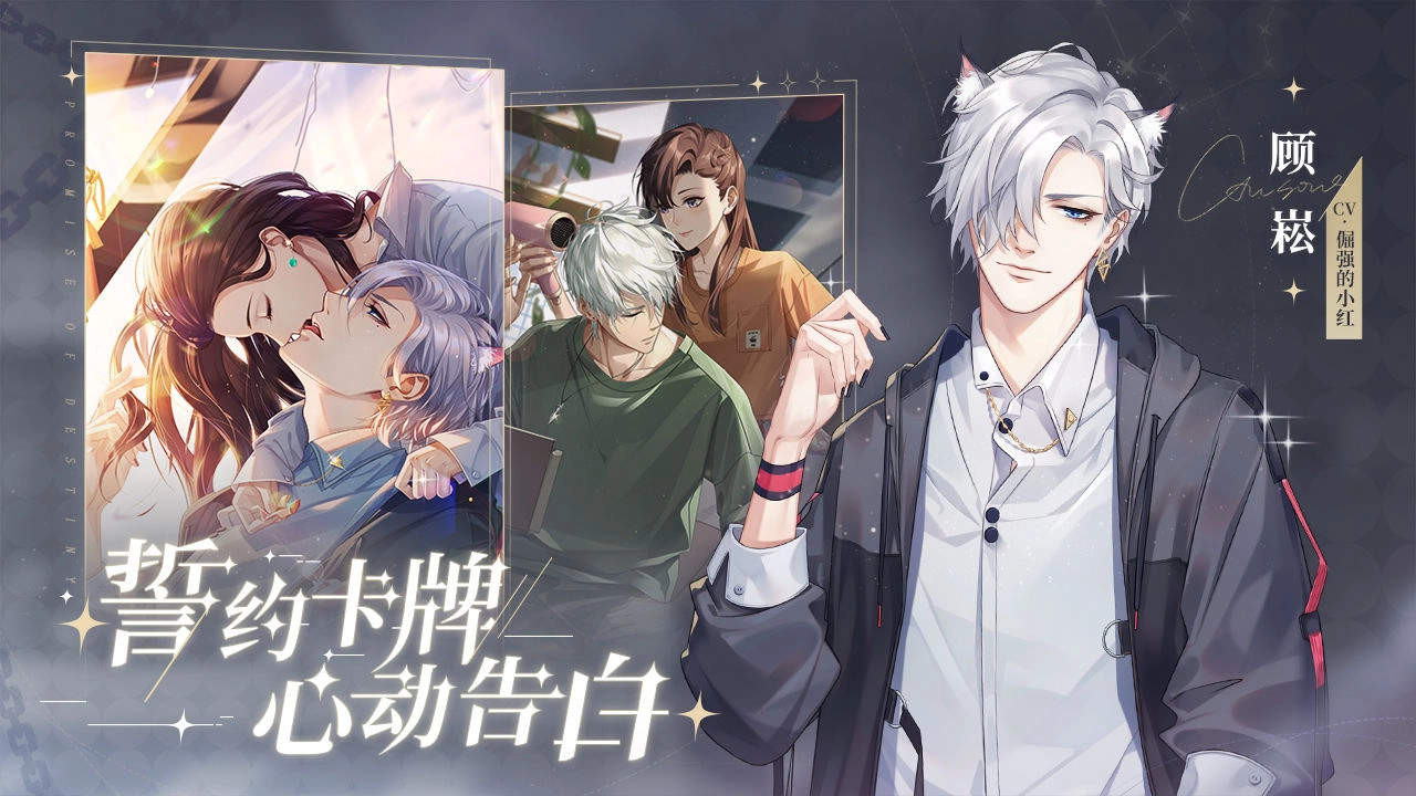 猫之宿约者单机版下载