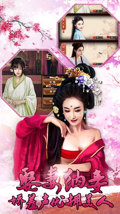 后宫秘史抖音版图4