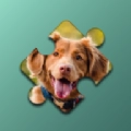 宠物狗狗的拼图挑战(Dogs Mania Jigsaw Puzzles)无广告版