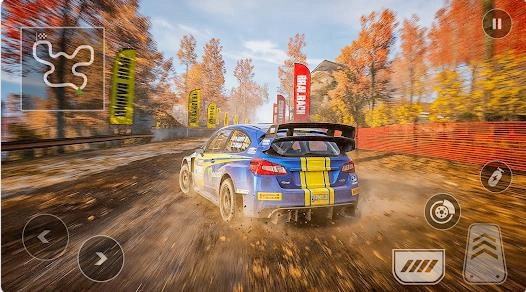 拉力赛车专业版(3)