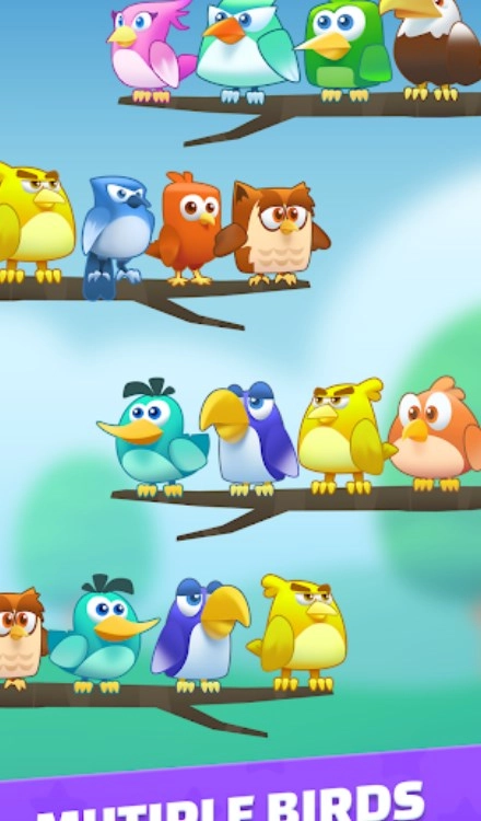 鸟类分色大师(Bird Sort - Color Puzzle)手游直装版(1)