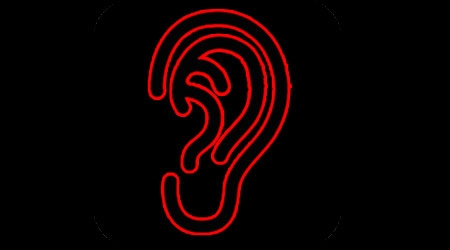 听声辨人手游直装版(2)