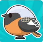 小鸟观察2游戏正版