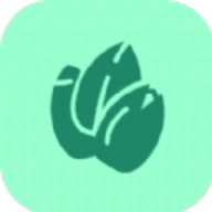 挖种子游戏安装包