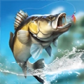 钓鱼绝不空军游戏纯净最新版