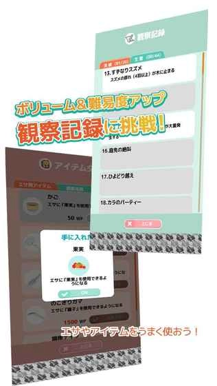 小鸟观察2游戏正版